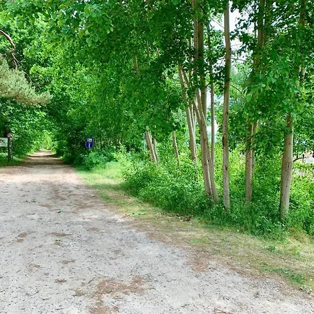 Modernes Waldhaus An Der Müritz-elde-wasserstraße Ferienhaus Matzlow-Garwitz